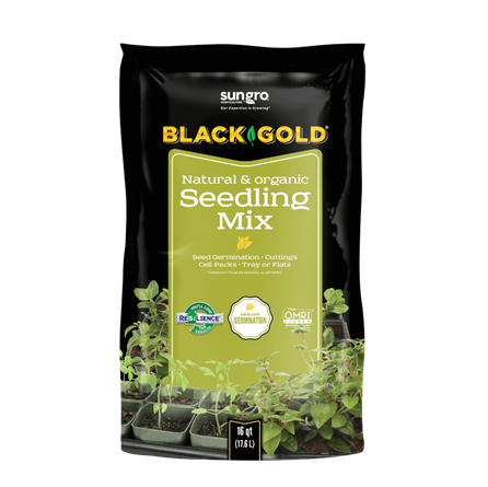 Black Gold Natural & Organic Seedling Mix 16 QT