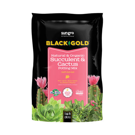 Black Gold Natural & Organic Succulent & Cactus 1 cu ft