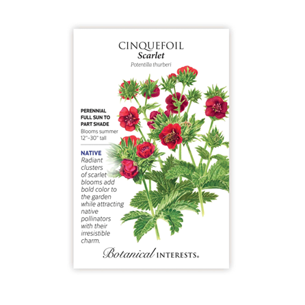 Botanical Interests Scarlet Cinquefoil Seeds