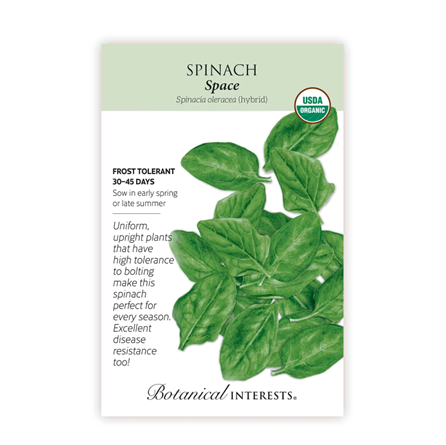 Botanical Interest Space Spinach Seeds