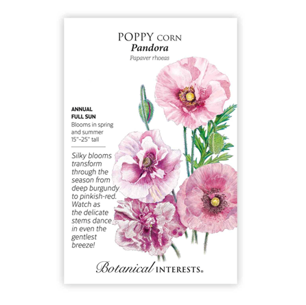 Botanical Interest Pandora Poppy Seeds