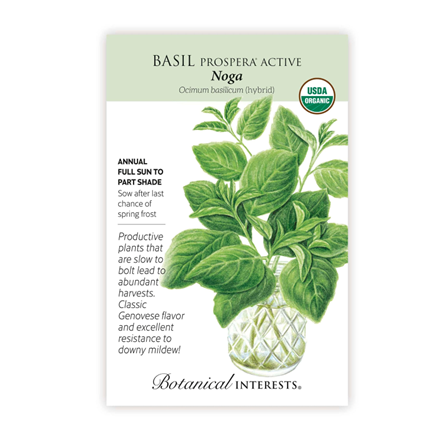 Botanical Interest Noga Basil Seeds