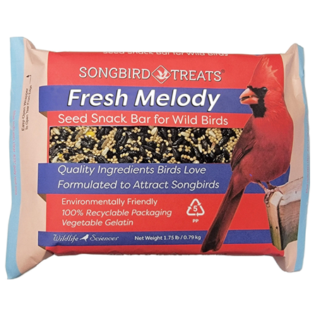 Suet Plus Fesh Melody Large Seed Bar