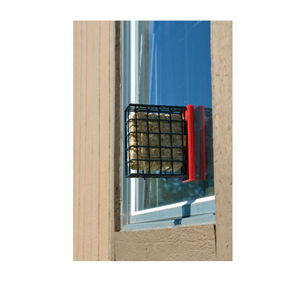 Songbird Essentials Red Window Mount Suet Feeder