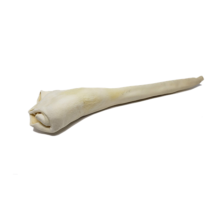 Home Range Beef Full Bull Tail Dog Chew