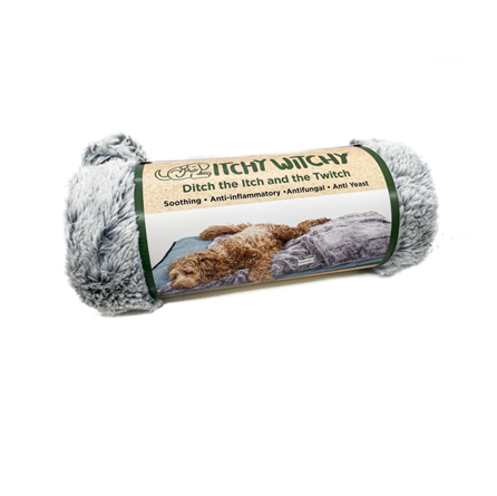 DGS Itchy Witchy Blanket Medium Chocolate